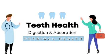 Teeth