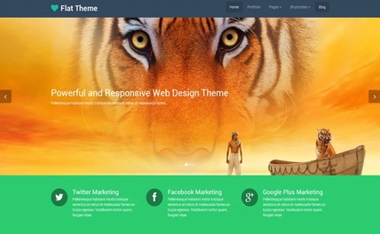 Web 6